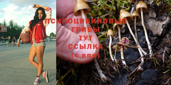 мескалин Белоозёрский