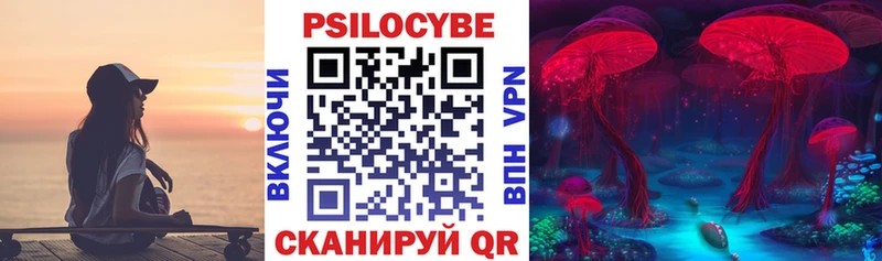 Псилоцибиновые грибы Cubensis  Купить закладки  Сибай 