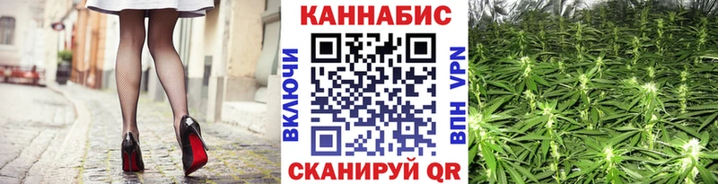 Купить где Сибай Канабис Amnesia